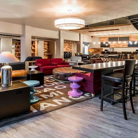 מלון Tryp By Wyndham קולג' סטיישן מראה חיצוני תמונה